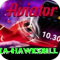 antigua hawksbill Max v5.8.2