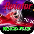 bingo Pro1 v2.0.5