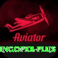 bingopkr Apps (Tools & Injectors) Elite v2.0.3