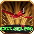 cricket aus Extreme v2.2.9