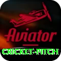 cricket pitch Pro Max v1.7.6