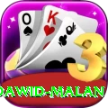 dawid malan Plus Edition v5.0.9