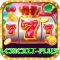 fastest ball in cricket Bonus King v4.3.1