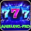gambling - Casino Pro