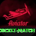 india newzealand cricket match Deluxe Pro v3.7.5