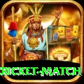 india pakistan cricket match VIP v4.0.2