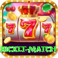 international cricket match VIP Pro v1.5.7