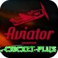 international cricket Earn Champion v1.3.3