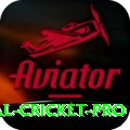 international cricket Slot Machine Extreme
