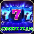 ireland cricket team Elite v5.5.7