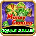 jacques kallis Plus Edition v1.2.7