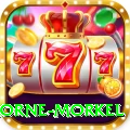 morne morkel Pro Edition v4.1.7