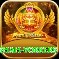 naseem shah yorkers Games (Casino & Earning) Gold v1.6.6