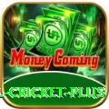 nepal cricket Gaming Supreme v4.8.1
