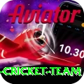 pakistan women cricket team Apps (Tools & Injectors) Deluxe v3.9.0