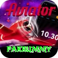 pakrummy Apps (Tools & Injectors) Turbo v2.4.9