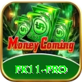 pk11 Pro v4.6.8