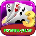 pkwin Deluxe Edition v5.7.0