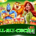 risk free bet cricket Games (Casino & Earning) Master v1.1.8
