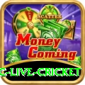 smartcric live cricket Master v2.3.2