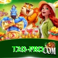 t20 Premium Casino App