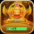 tiger888 Master vv2.3.1