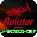 u19 cricket world cup Master v4.4.2