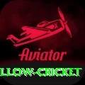 willow cricket Max v1.5.8