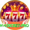 willow cricket Super Slots